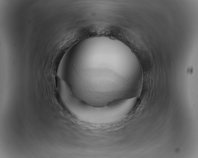 X0000098220039200805011244