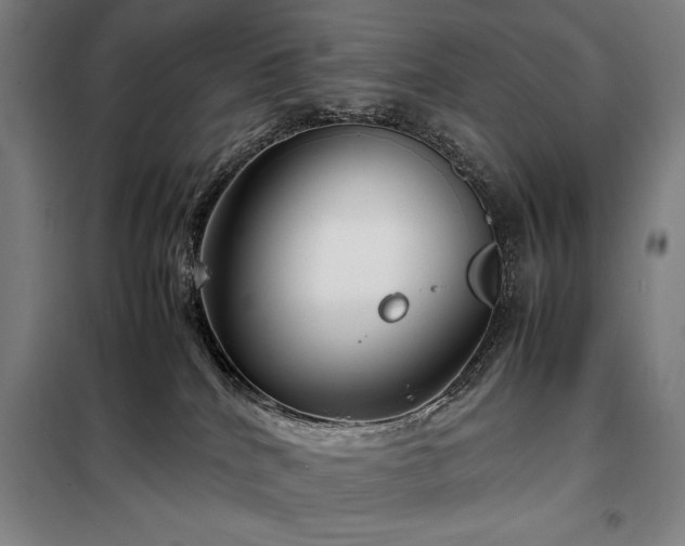 X0000098220040200805011244