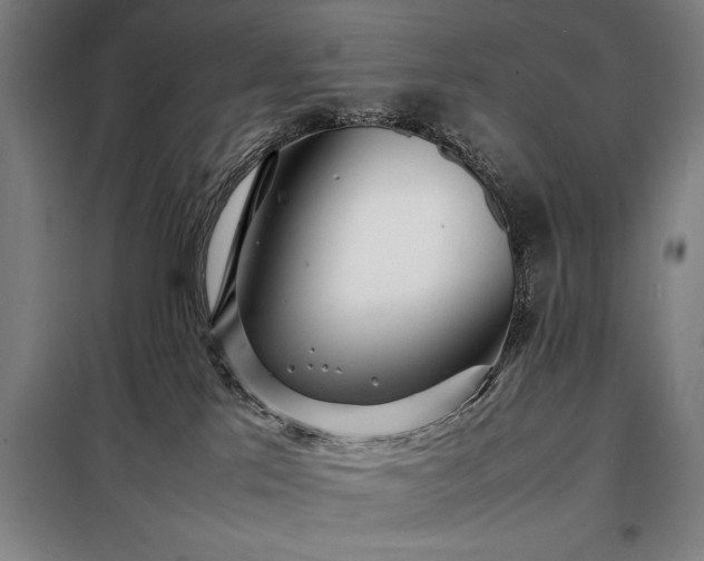 X0000098220041200805011244