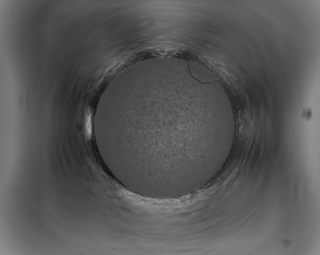 X0000098220042200805011244