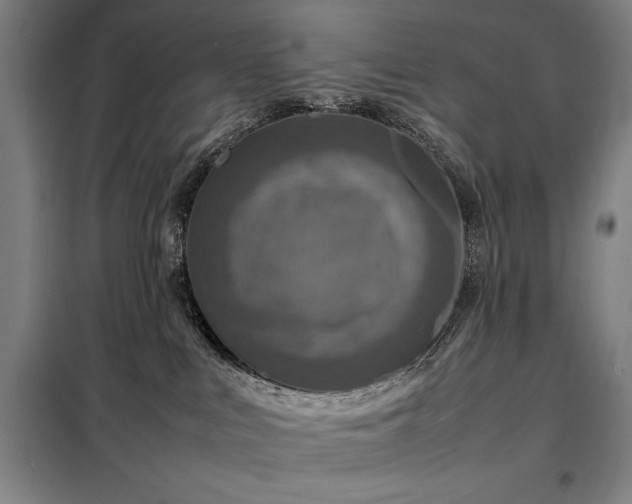 X0000098220043200805011244