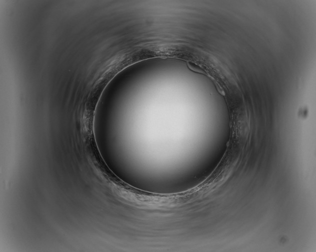 X0000098220044200805011244