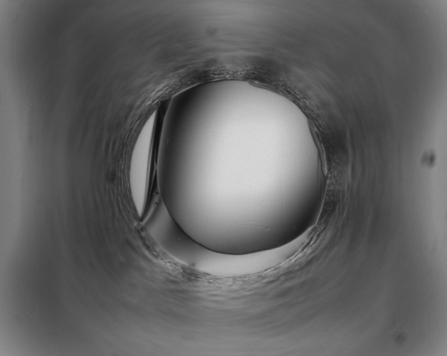 X0000098220045200805011244