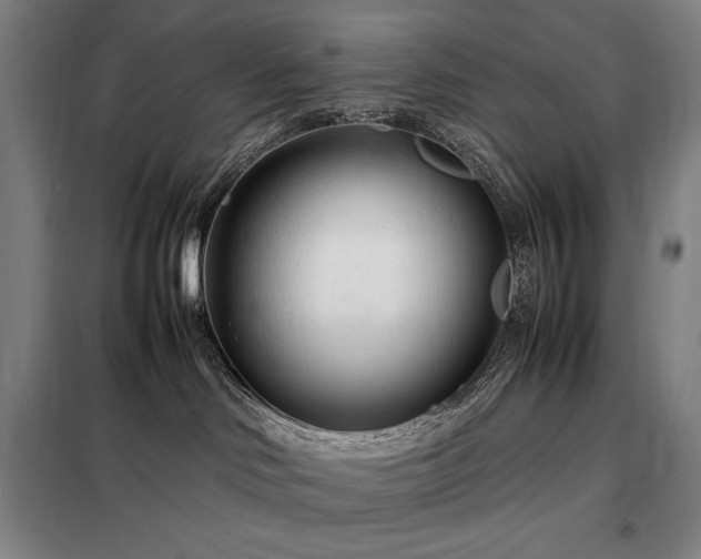 X0000098220046200805011244