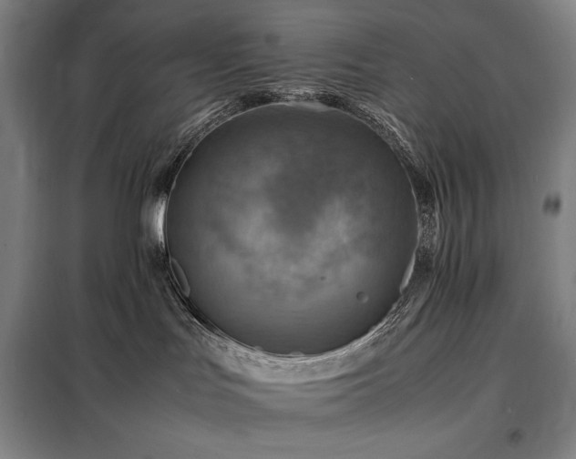 X0000098220047200805011244