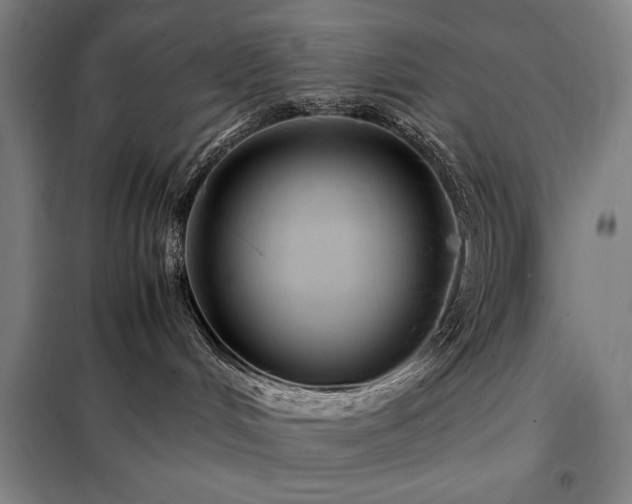 X0000098220048200805011244