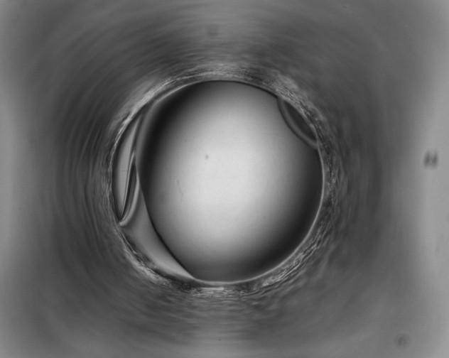 X0000098220050200805011243