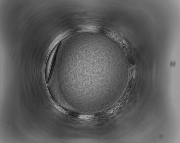 X0000098220051200805011243