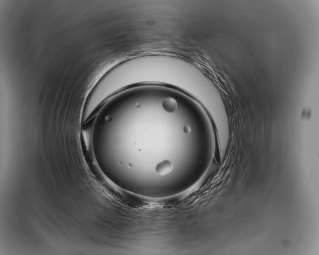 X0000098220052200805011243