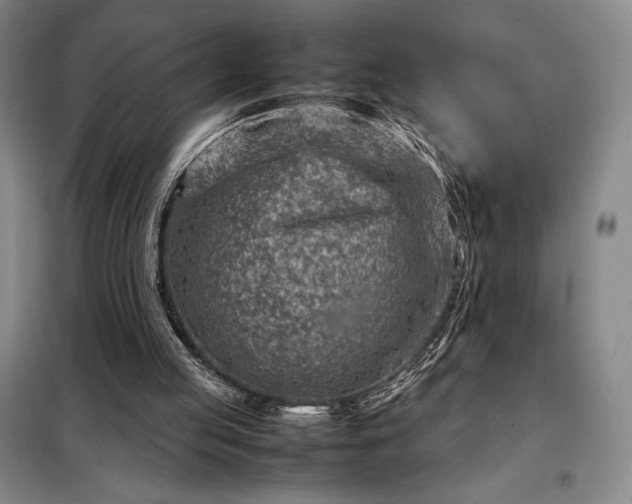 X0000098220053200805011243