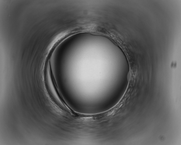 X0000098220054200805011244