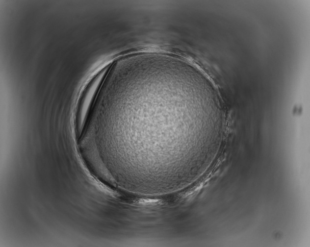 X0000098220055200805011244