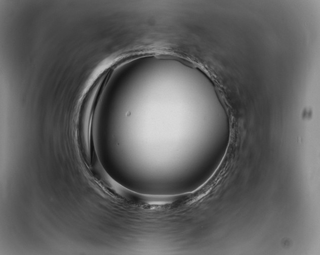 X0000098220056200805011244