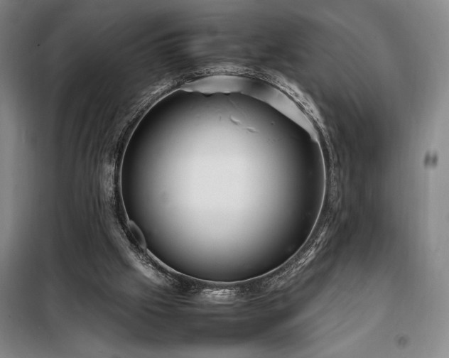 X0000098220057200805011244