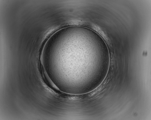 X0000098220058200805011244