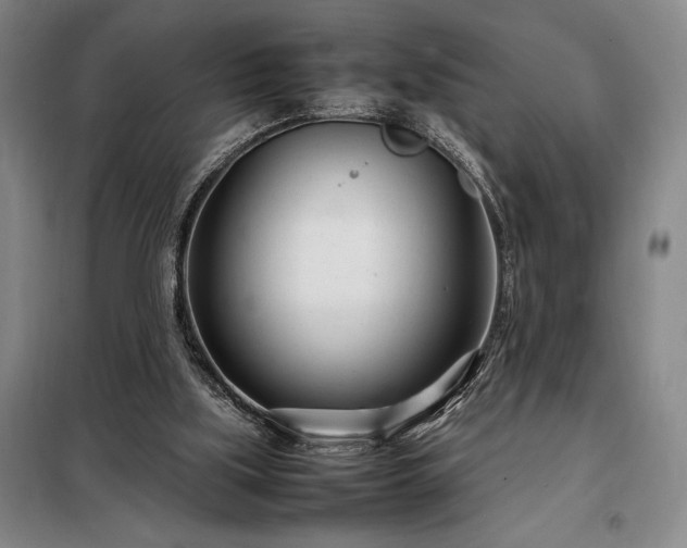 X0000098220059200805011244