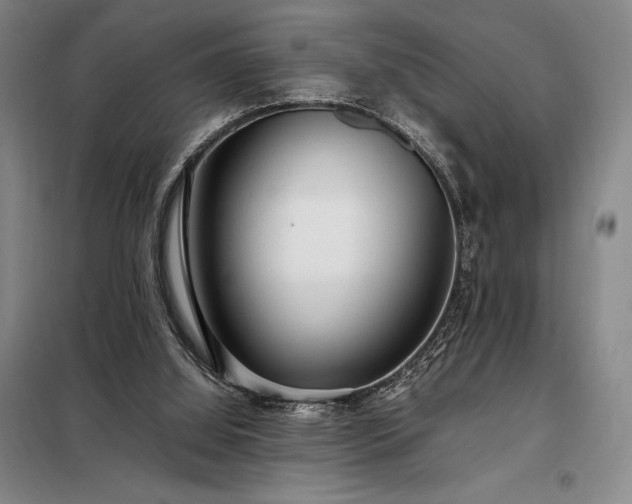 X0000098220060200805011244