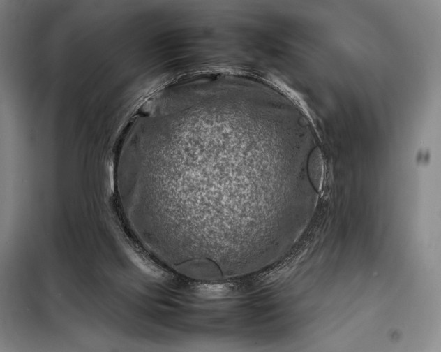 X0000098220061200805011244