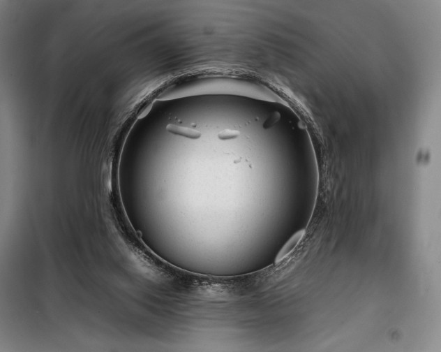 X0000098220062200805011244