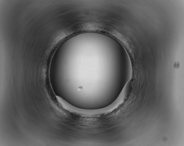 X0000098220063200805011244