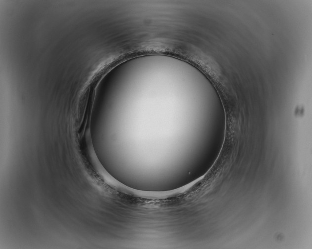 X0000098220064200805011244