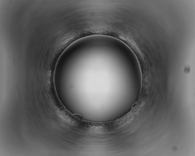 X0000098220066200805011244