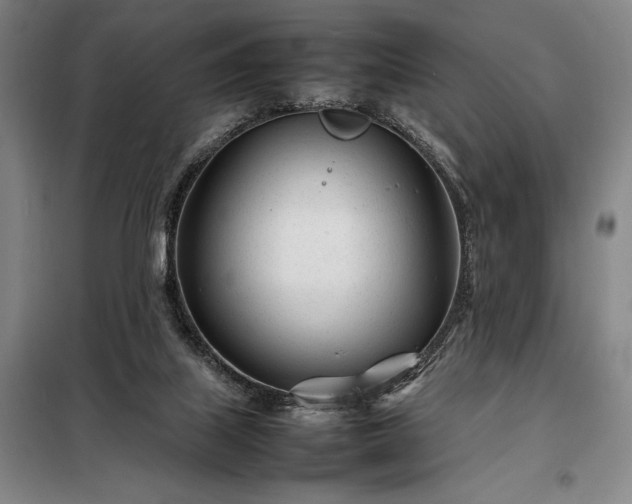 X0000098220067200805011244