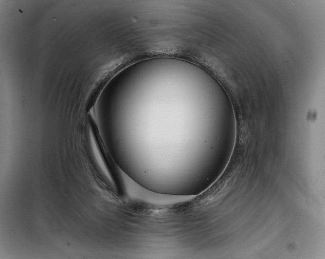 X0000098220068200805011244