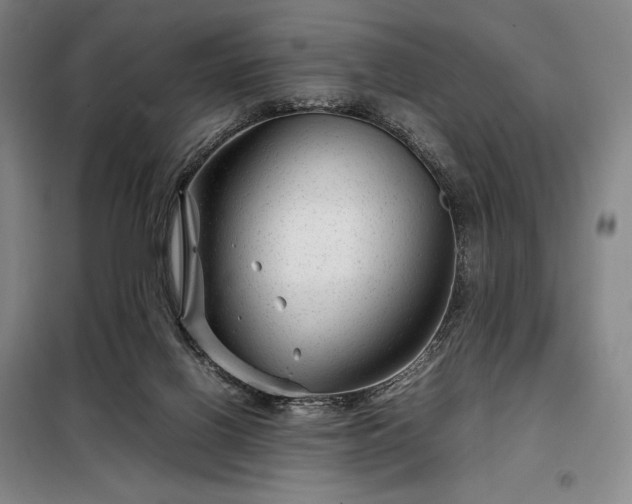 X0000098220070200805011244