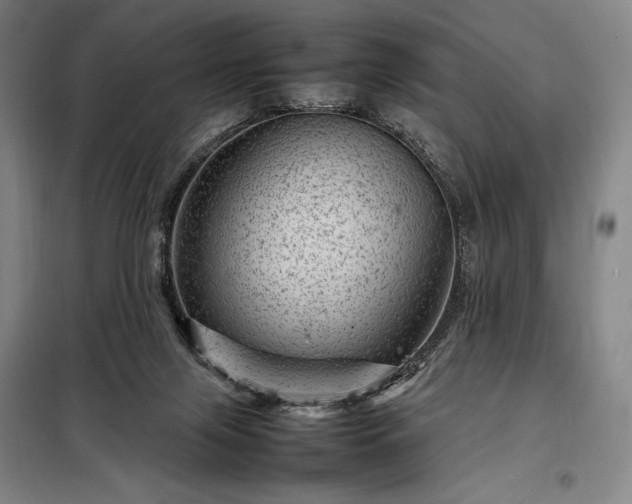 X0000098220071200805011244