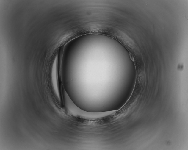 X0000098220072200805011244