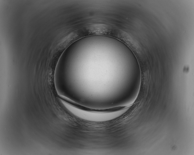 X0000098220073200805011244