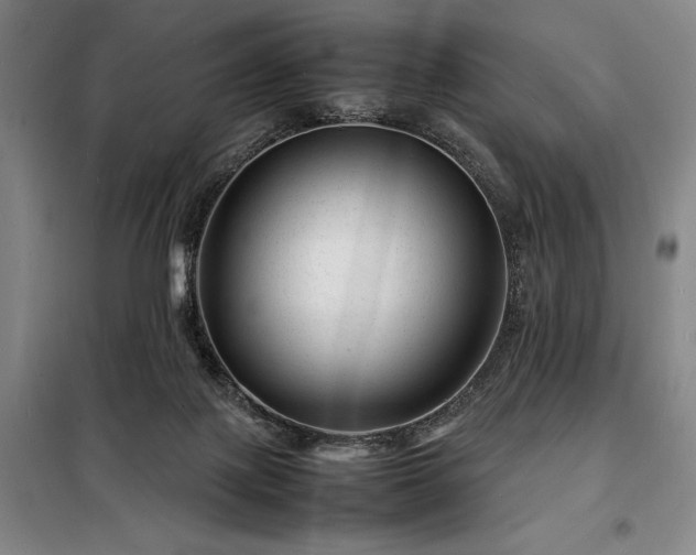 X0000098220075200805011244