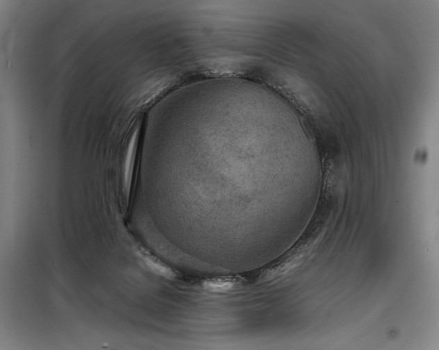 X0000098220076200805011244