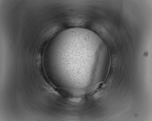 X0000098220077200805011244