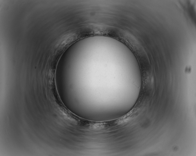 X0000098220078200805011244