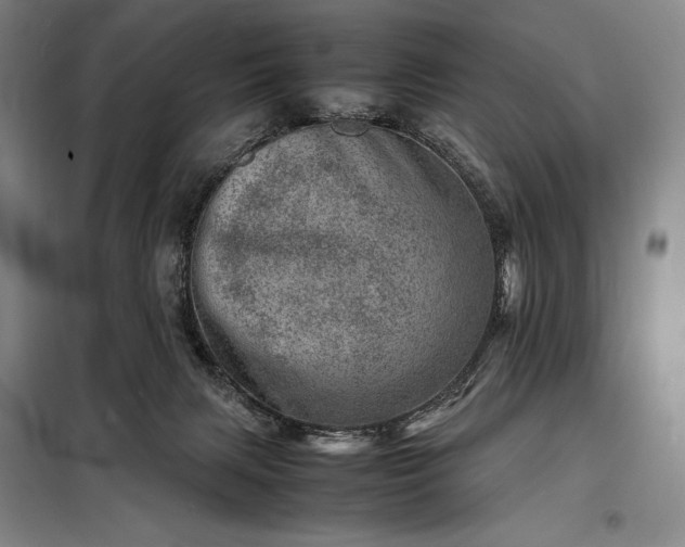 X0000098220079200805011244