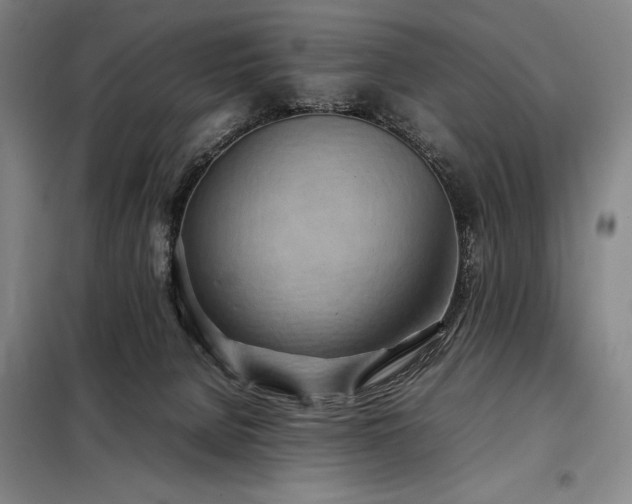 X0000098220080200805011244