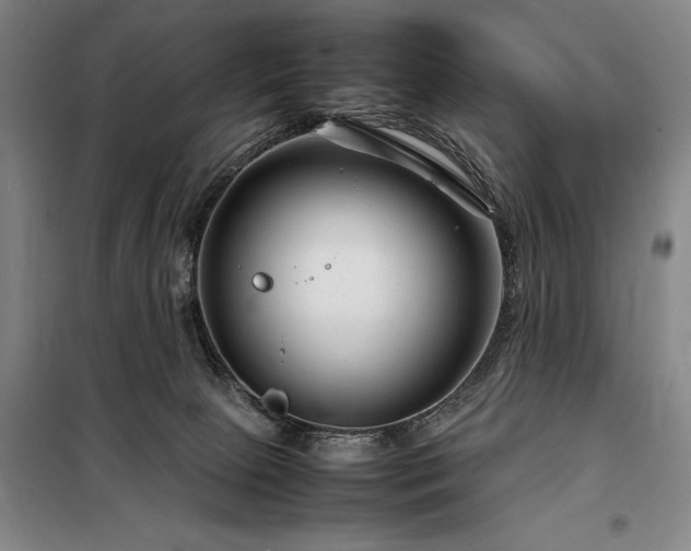 X0000098220081200805011244