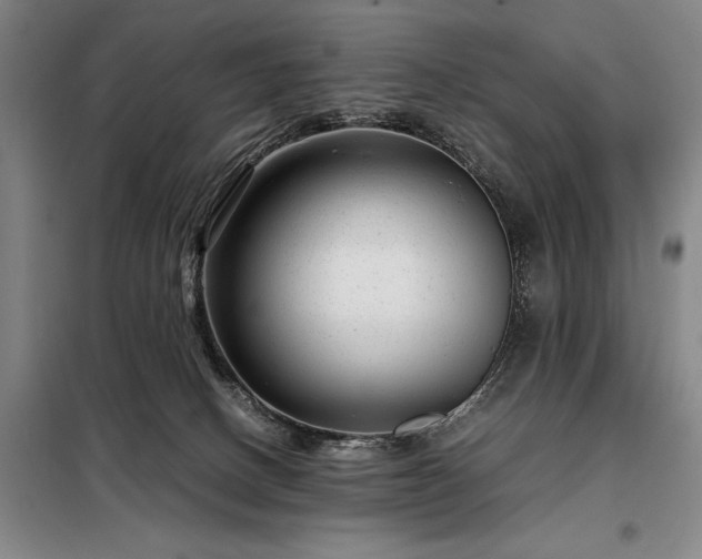 X0000098220082200805011244