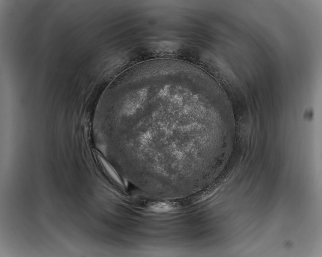 X0000098220083200805011244