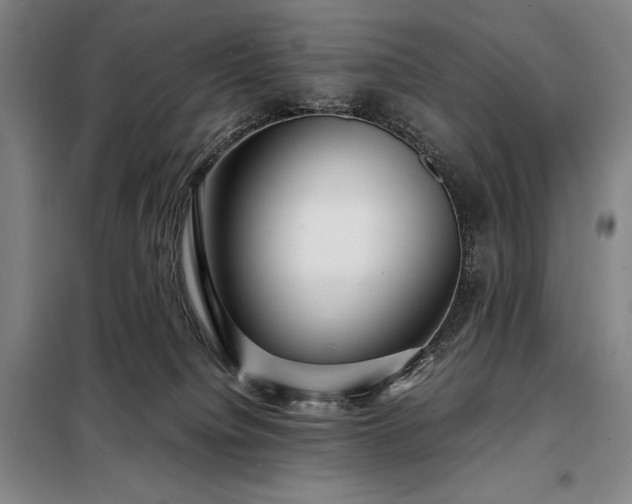 X0000098220084200805011244