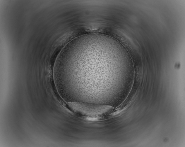 X0000098220085200805011244