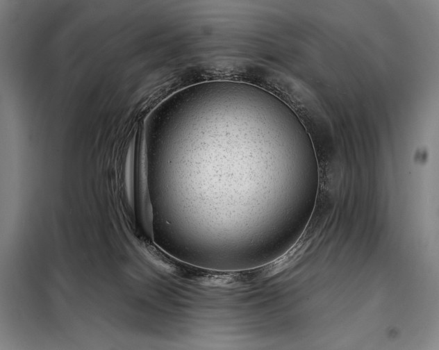 X0000098220086200805011244