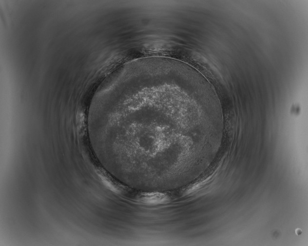 X0000098220087200805011244