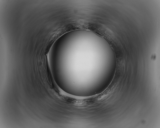 X0000098220088200805011244