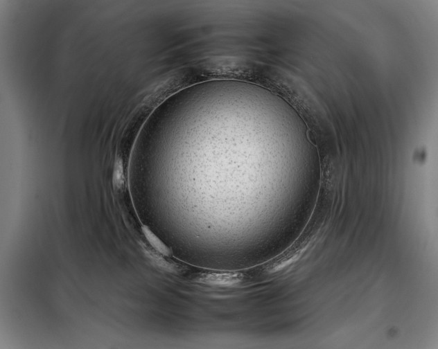 X0000098220089200805011244