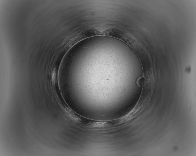 X0000098220090200805011244