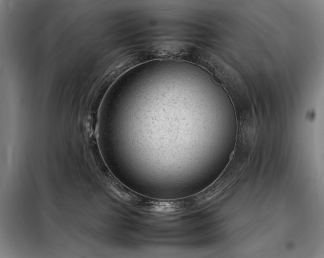 X0000098220091200805011244