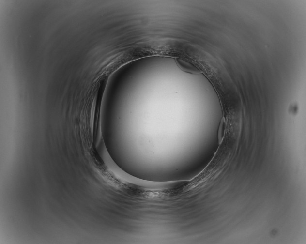 X0000098220092200805011244